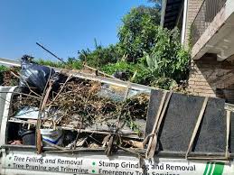 Best Carpet Removal and Disposal  in Diamond Ridge, AK